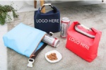 Non Woven Lunch Bag